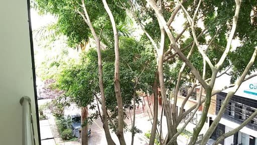 Apartamento en arriendo en Estadio, Laureles, Medellín — foto 1 de 20