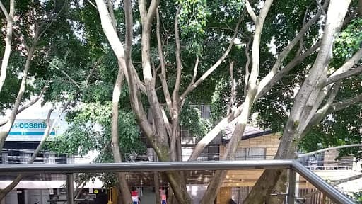 Apartamento en arriendo en Estadio, Laureles, Medellín — foto 3 de 20
