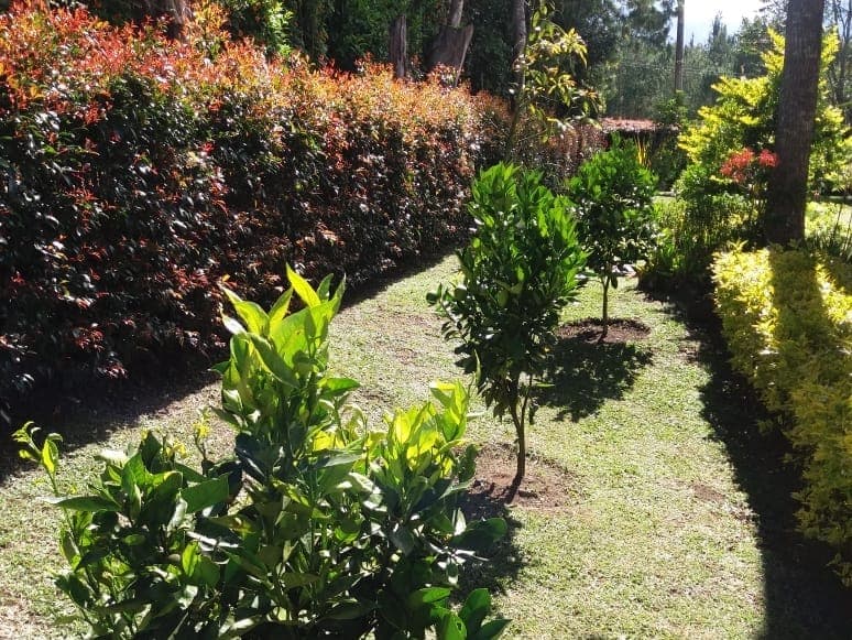 Casa Campestre en arriendo en Llano Grande, Rionegro — foto 4 de 12