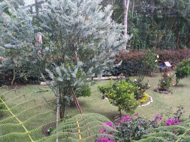 Casa Campestre en arriendo en Llano Grande, Rionegro — foto 5 de 12