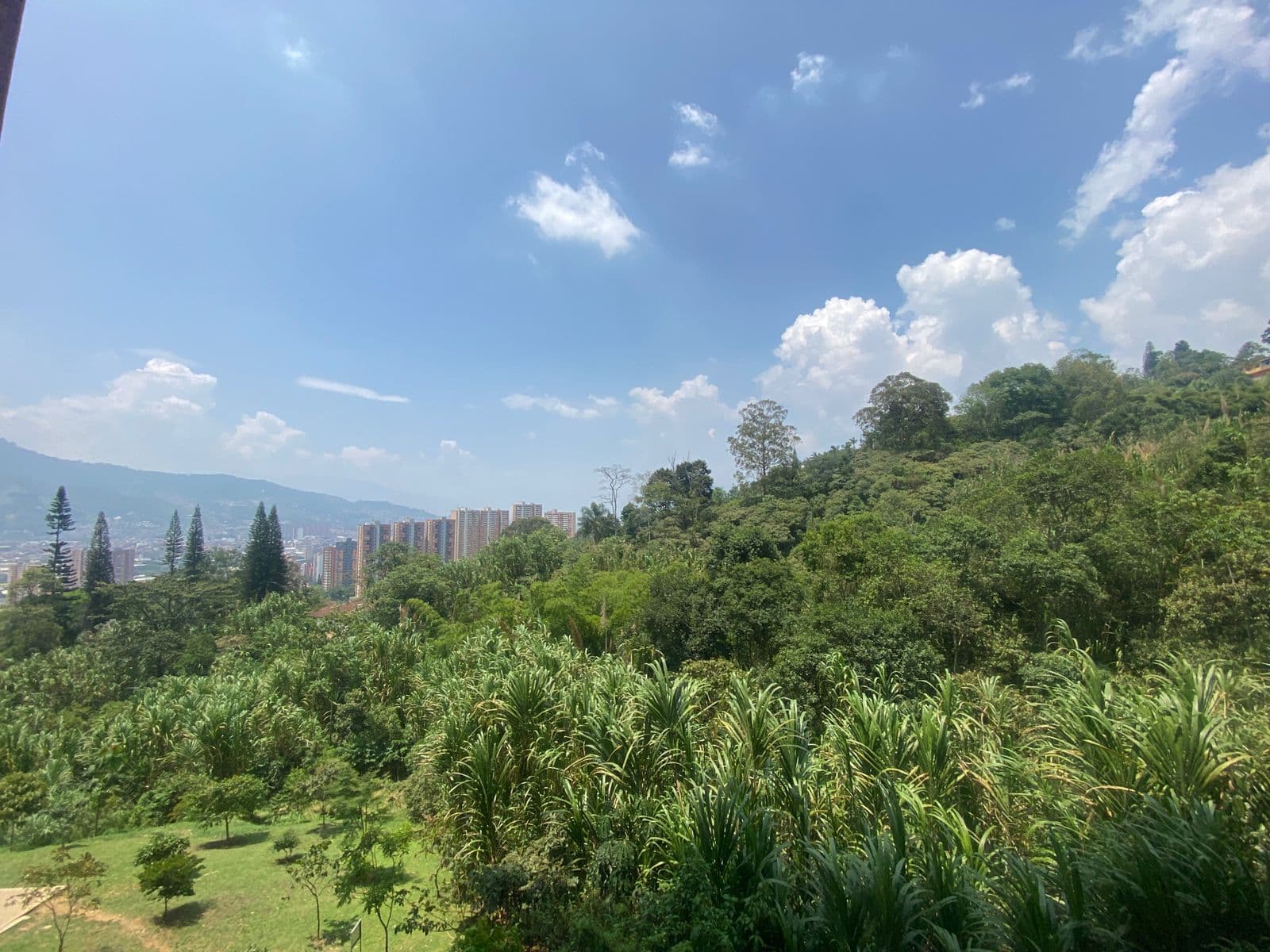Apartamento en arriendo en Vereda Las Lomitas, Sabaneta — foto 3 de 14