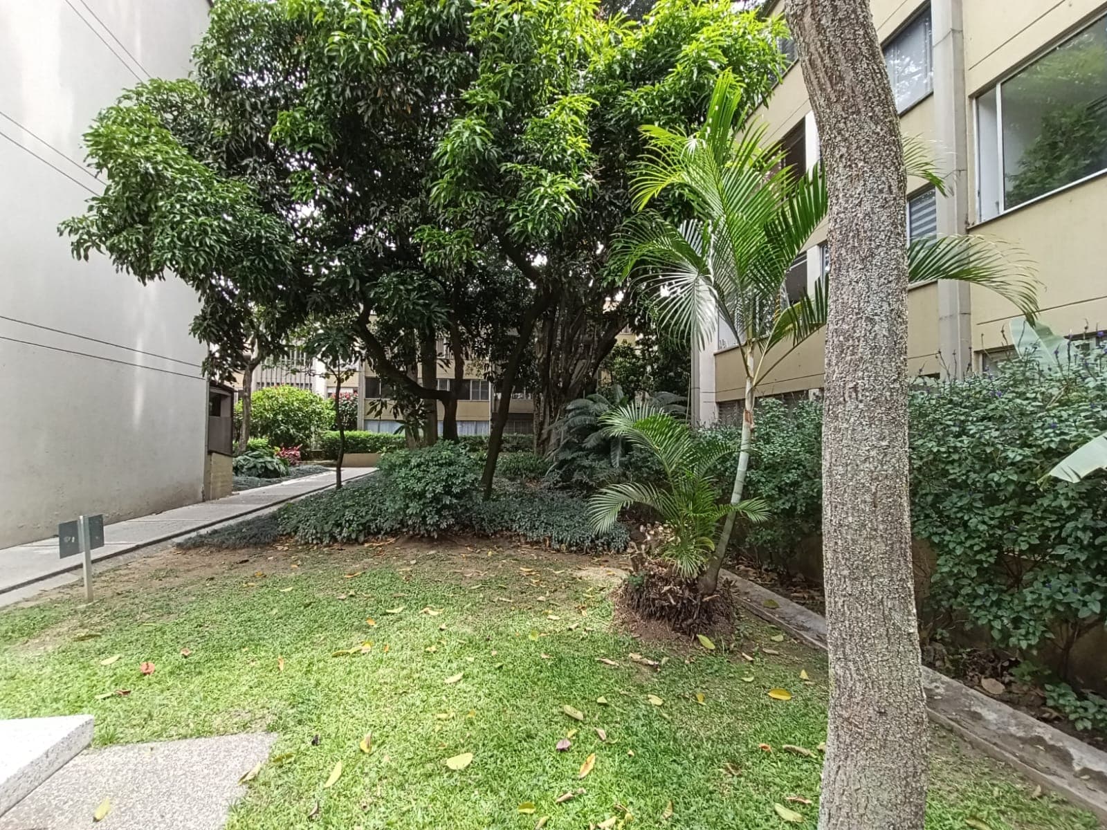 Apartamento en arriendo en Medellín — foto 3 de 20