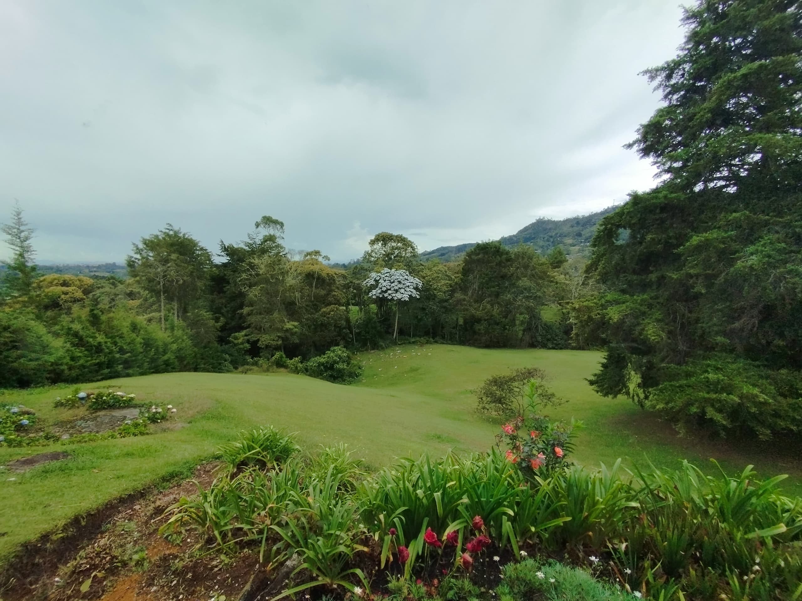 Finca en arriendo en La Ceja — foto 5 de 20