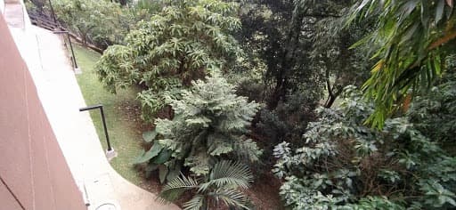 Apartamento en arriendo en Loma del Escobero Envigado — foto 5 de 19