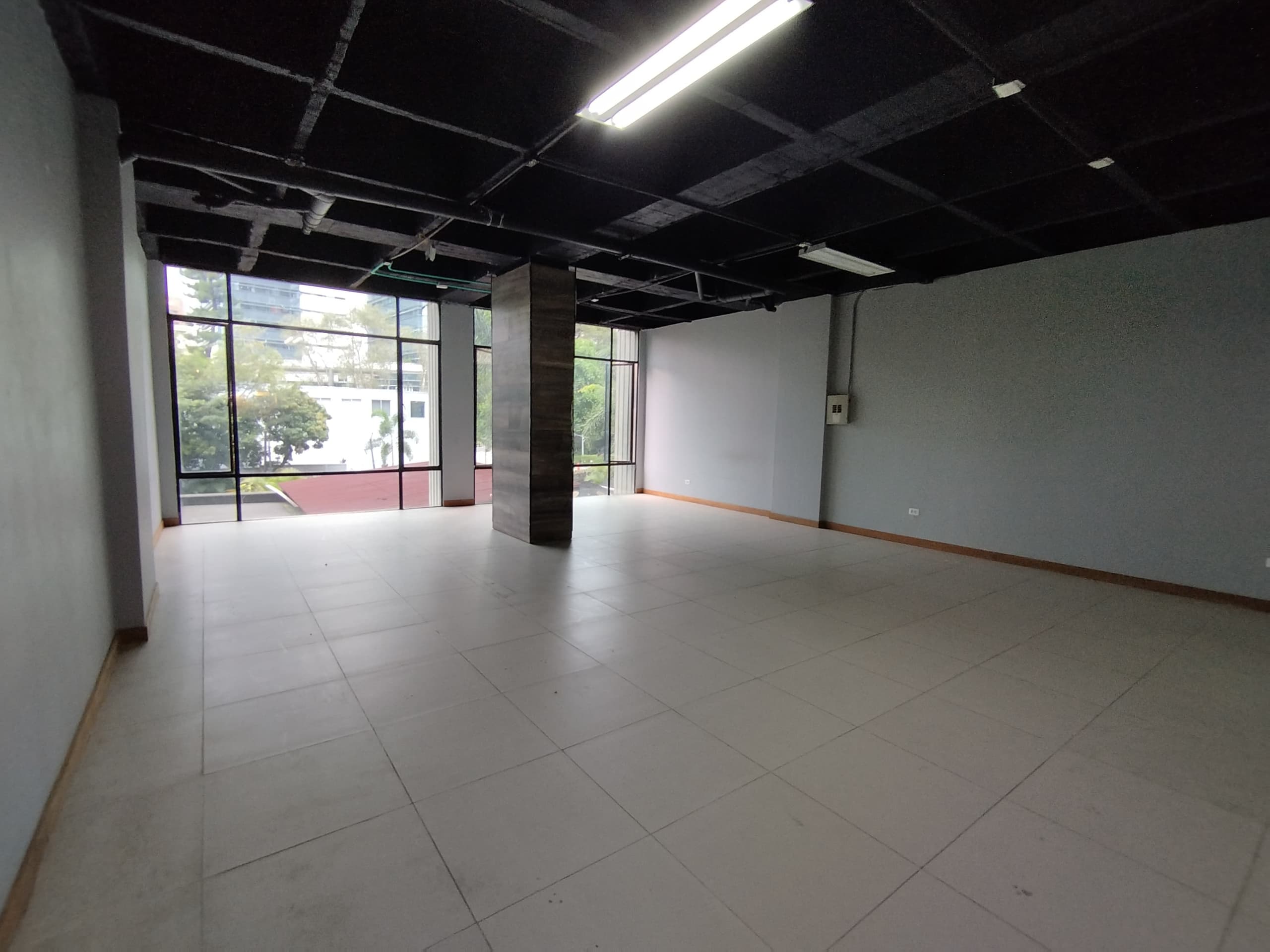 Local en arriendo en Milla De Oro, El Poblado, Medellín — foto 4 de 6