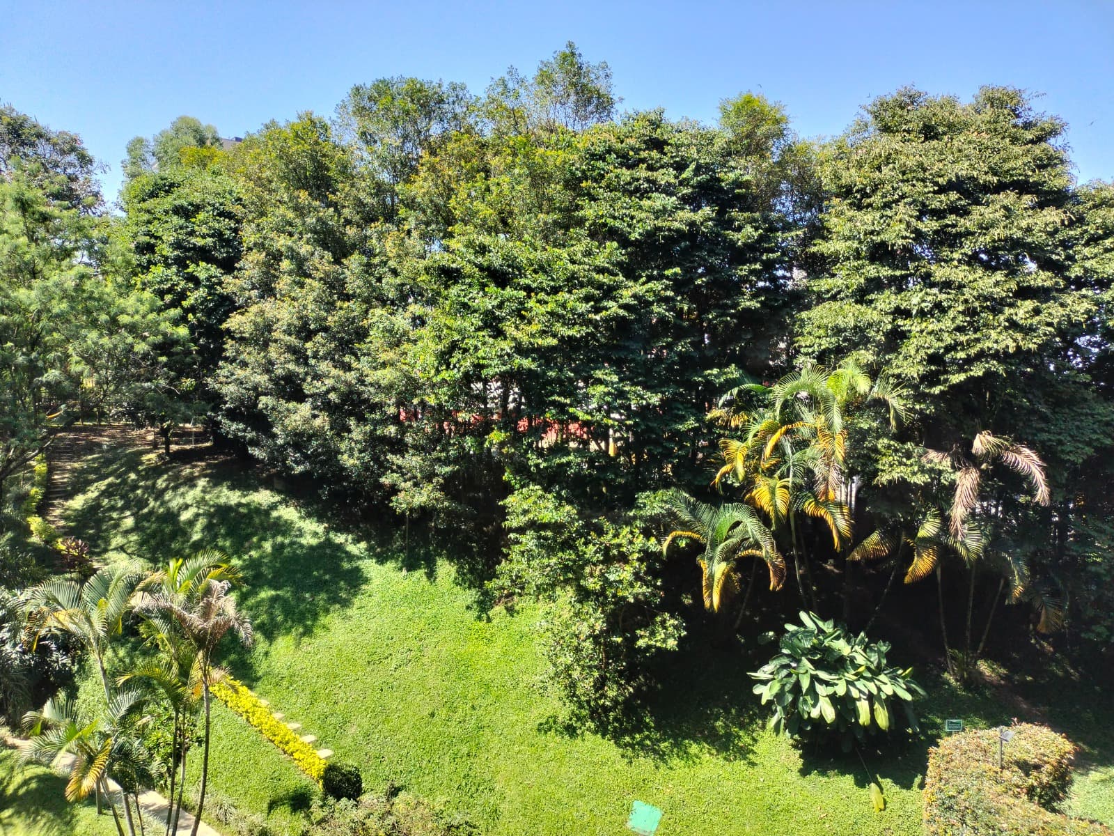 Apartamento en arriendo en Cumbres, Envigado — foto 3 de 9