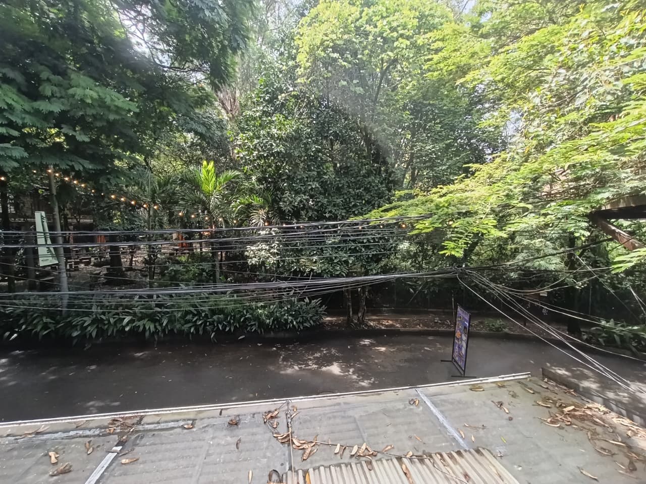 Local en arriendo en Provenza, El Poblado, Medellín — foto 3 de 6