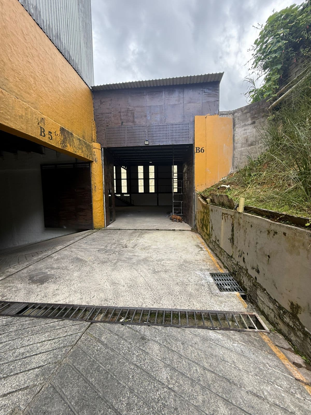 Bodega en arriendo en Caldas — foto 3 de 11