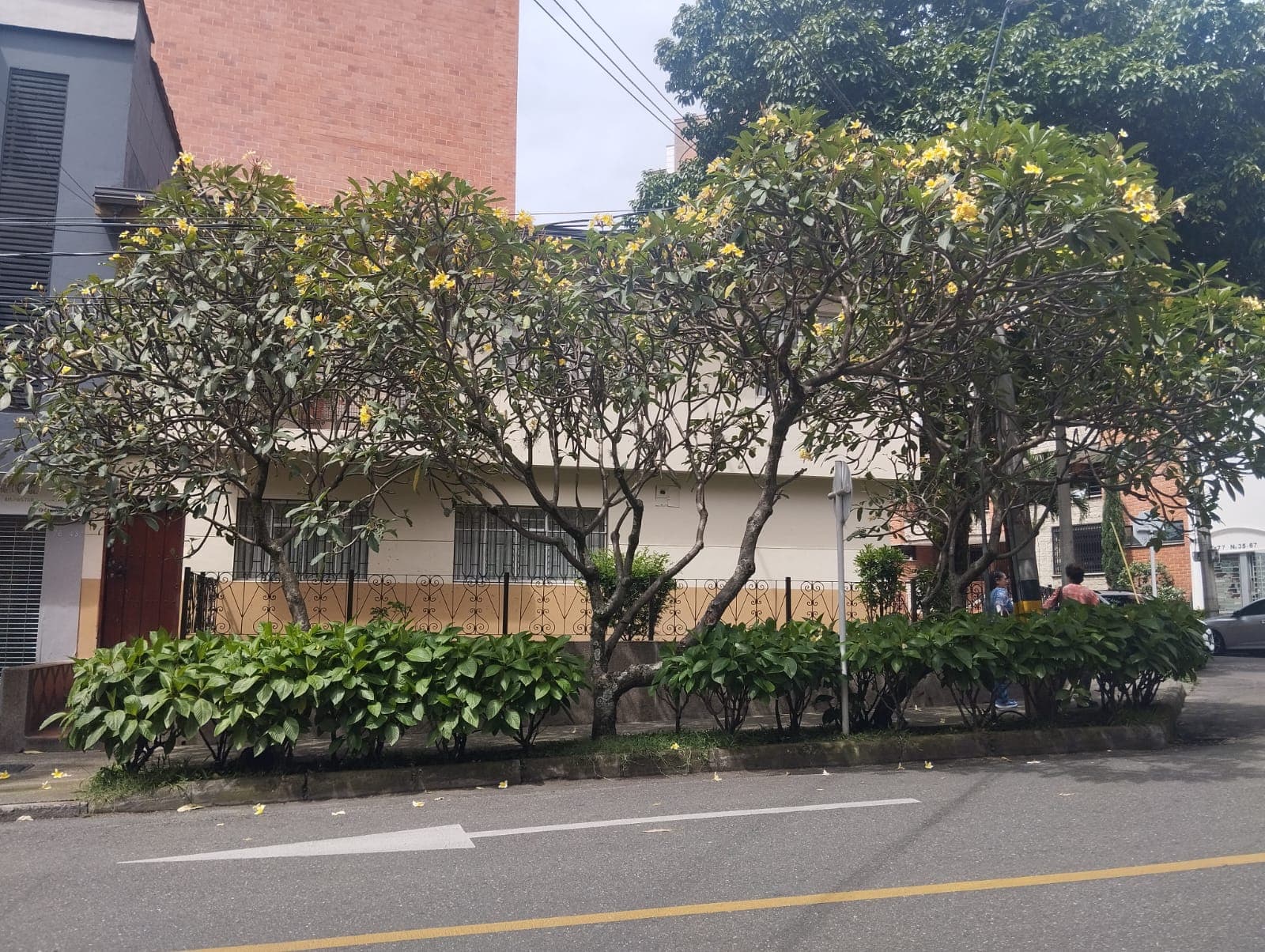 Casa Comercial en arriendo en Laureles, Medellín — foto 3 de 20
