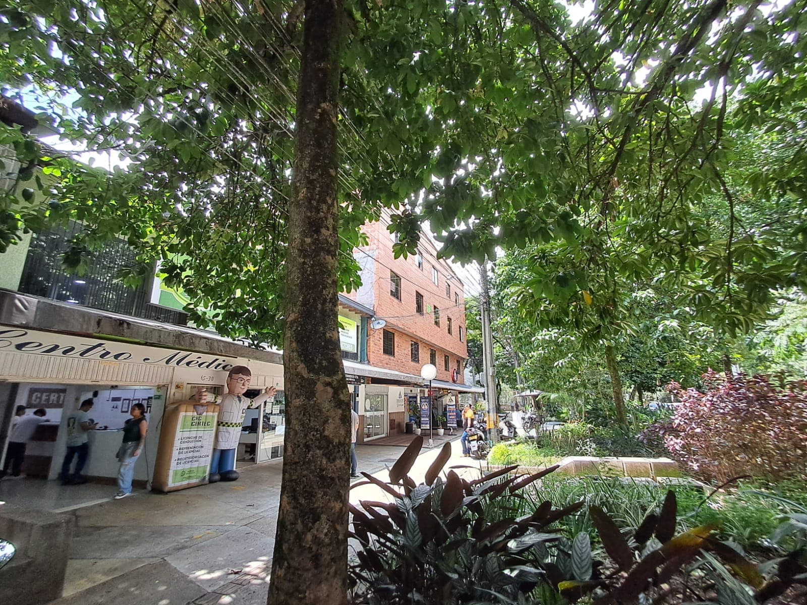 Oficina en arriendo en Suramericana, Laureles, Medellín — foto 3 de 12