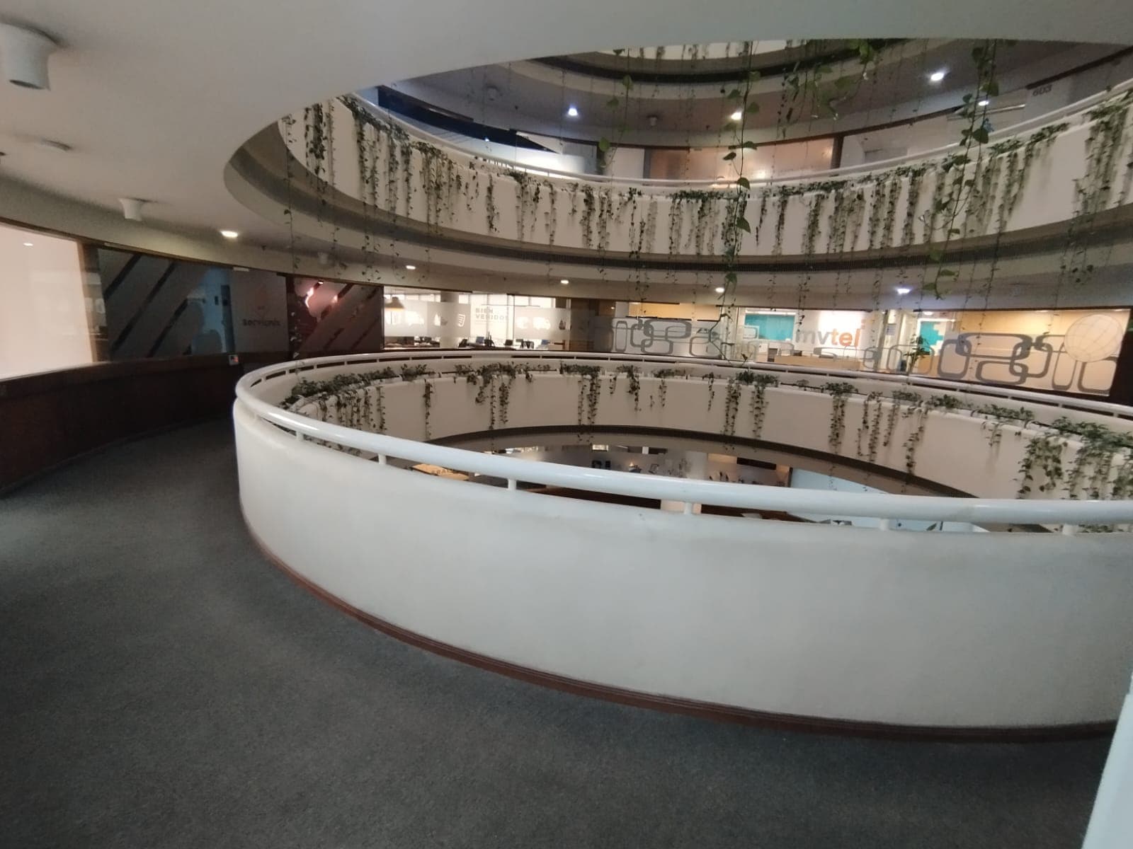 Oficina en arriendo en El Poblado, Medellín — foto 2 de 12