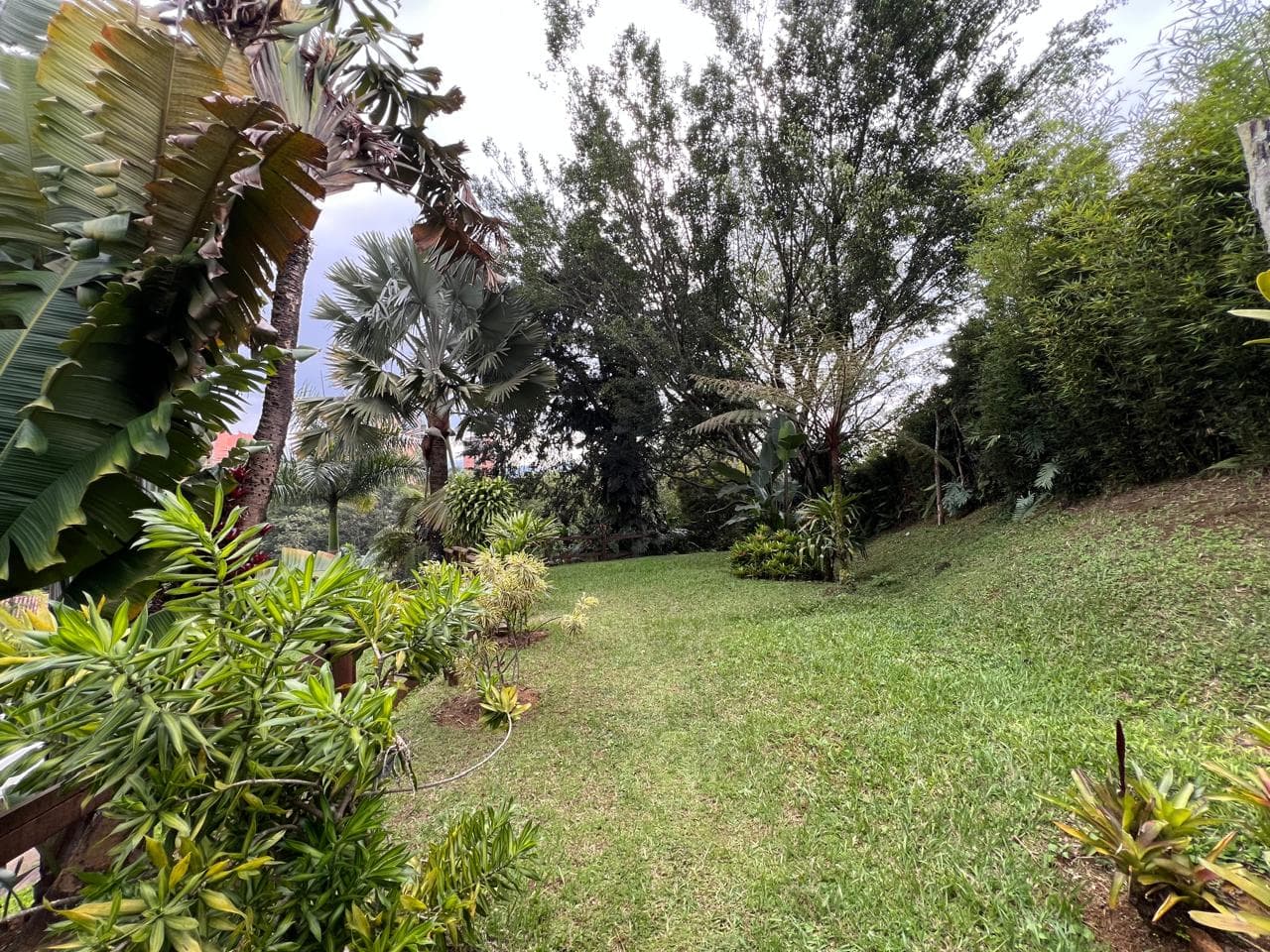 Casa Comercial en arriendo en Altos Del Cola Del Zorro, El Poblado, Medellín — foto 5 de 20