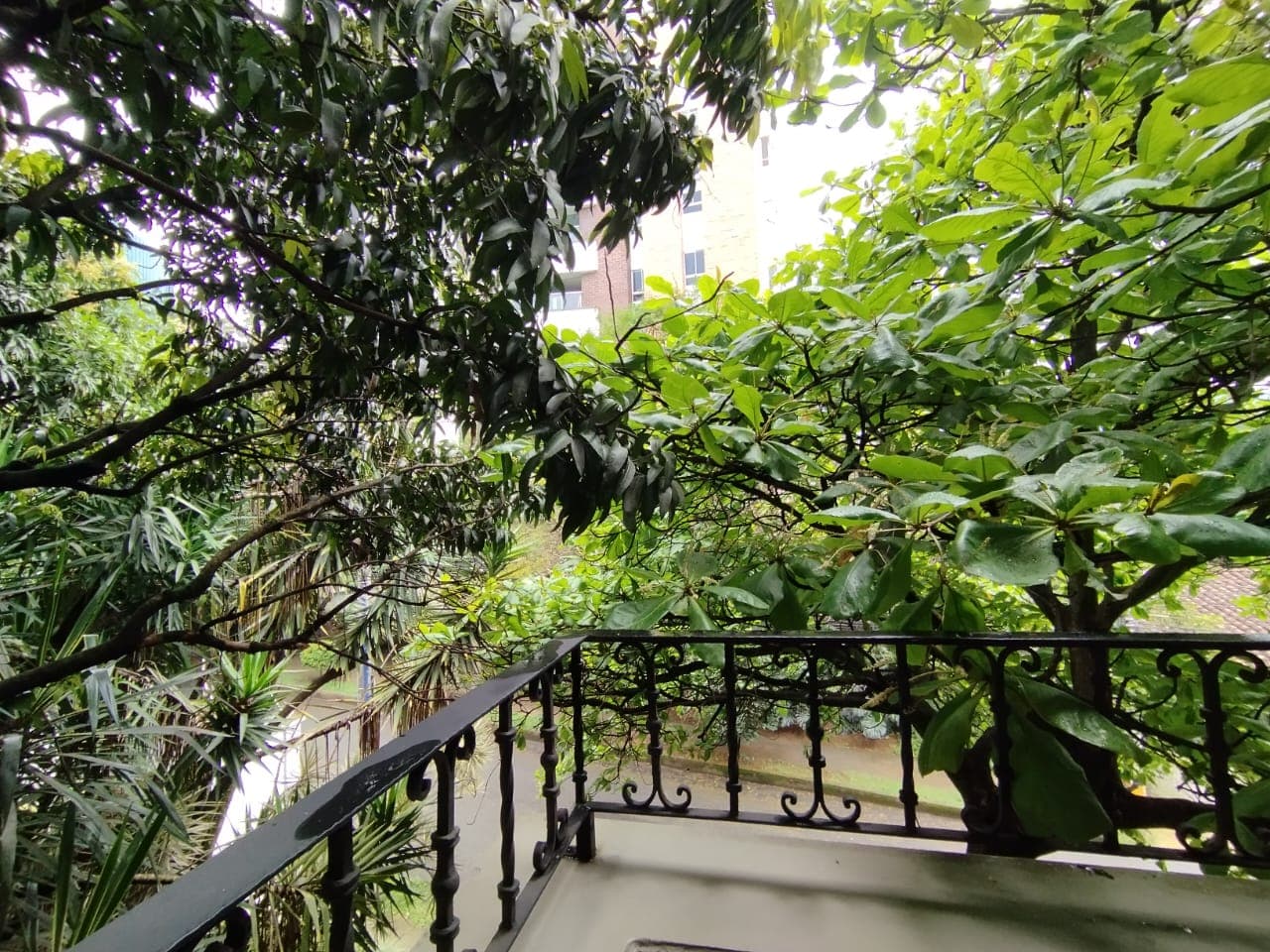 Apartamento en arriendo en Aguacatala, El Poblado, Medellín — foto 2 de 17