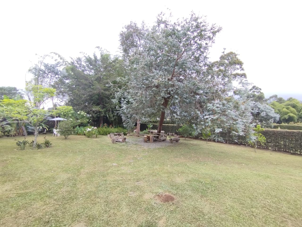 Finca en arriendo en La Ceja — foto 4 de 20