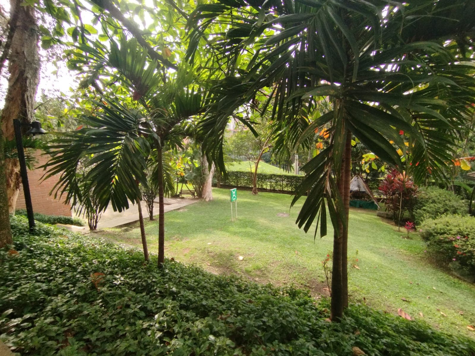 Apartamento en arriendo en Las Lomas, El Poblado, Medellín — foto 3 de 20