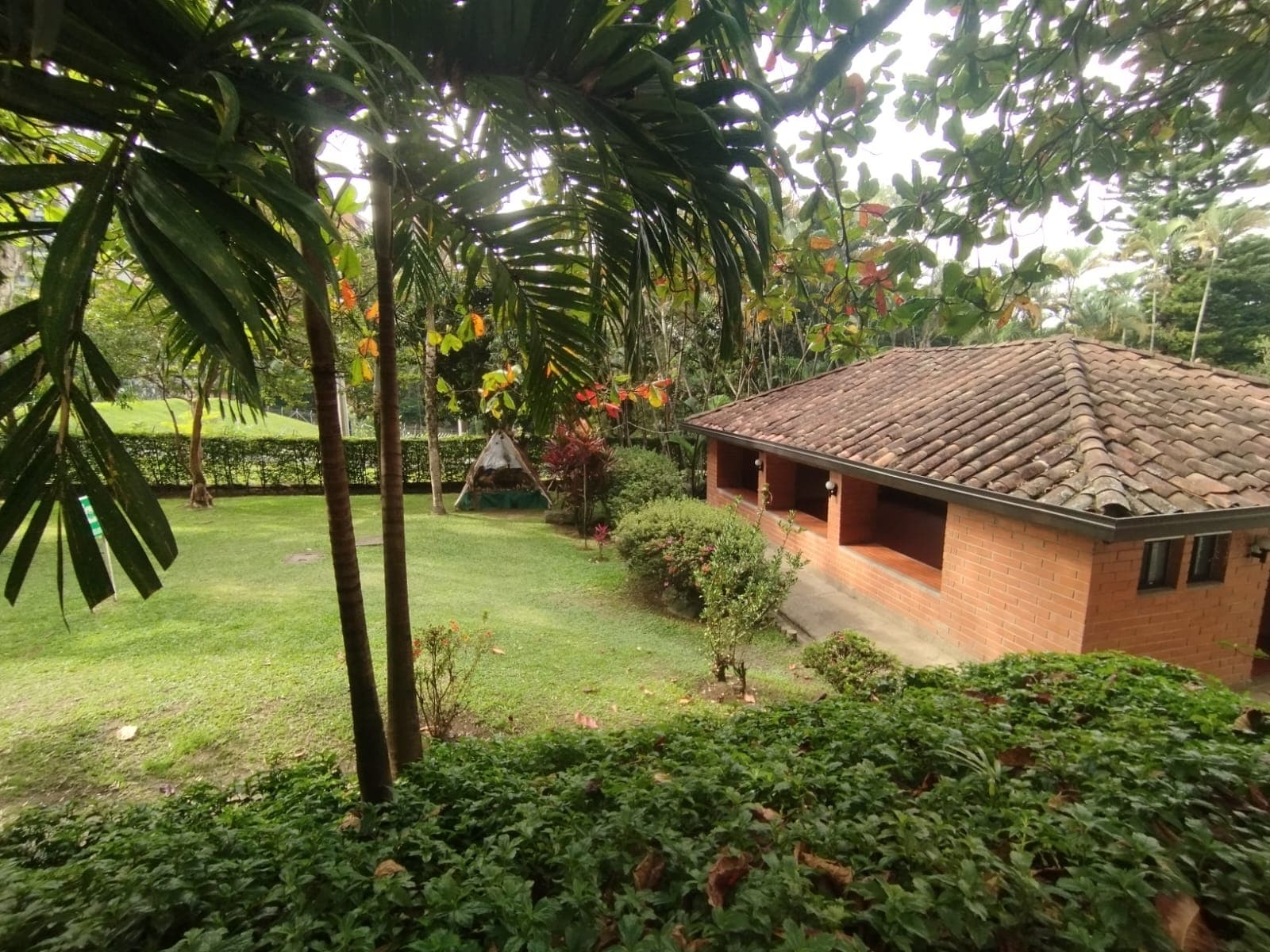 Apartamento en arriendo en Las Lomas, El Poblado, Medellín — foto 5 de 20
