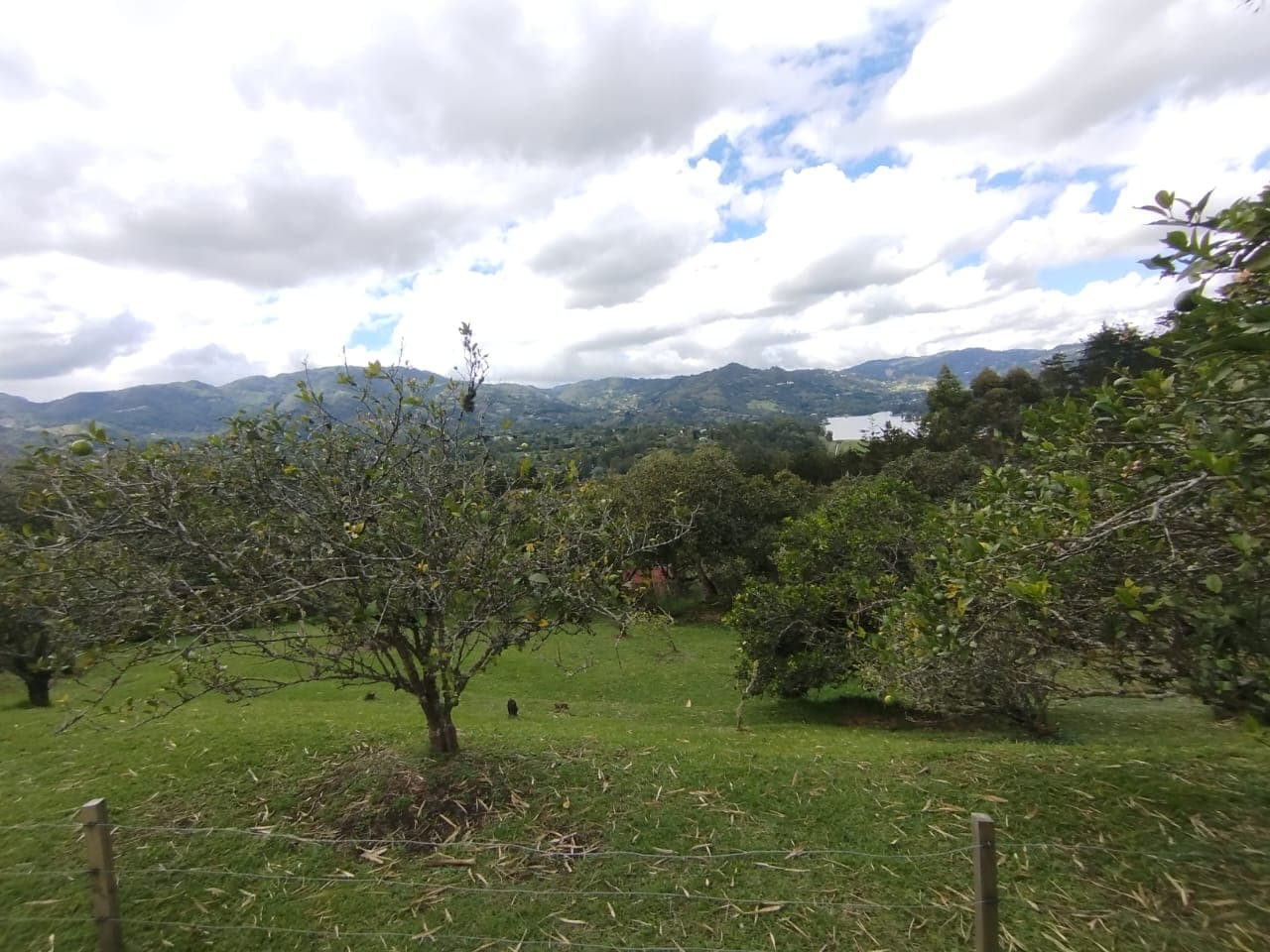 Finca en arriendo en Retiro — foto 4 de 20