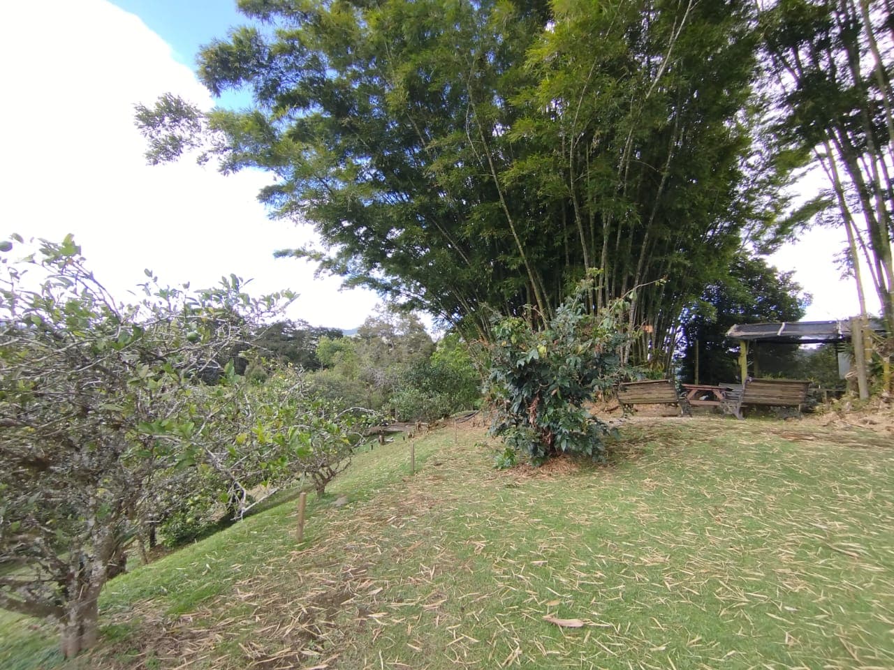 Finca en arriendo en Retiro — foto 5 de 20
