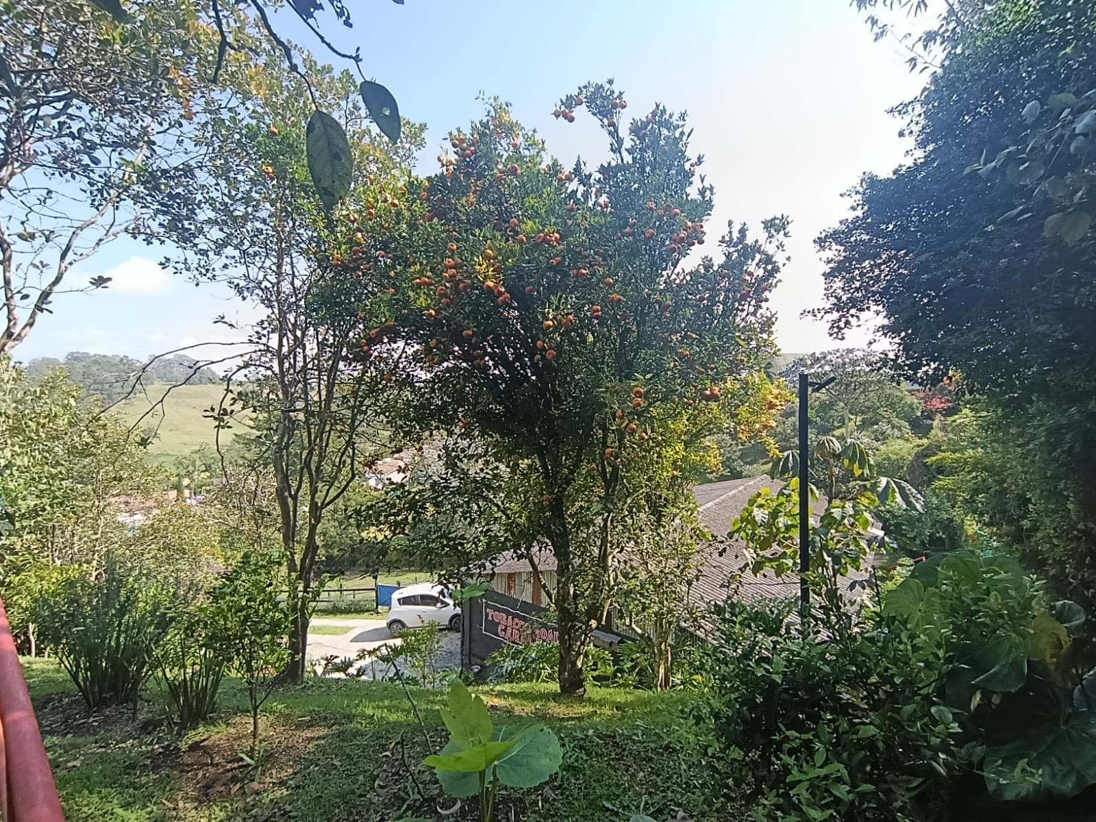 Bodega en arriendo en Rionegro — foto 1 de 20