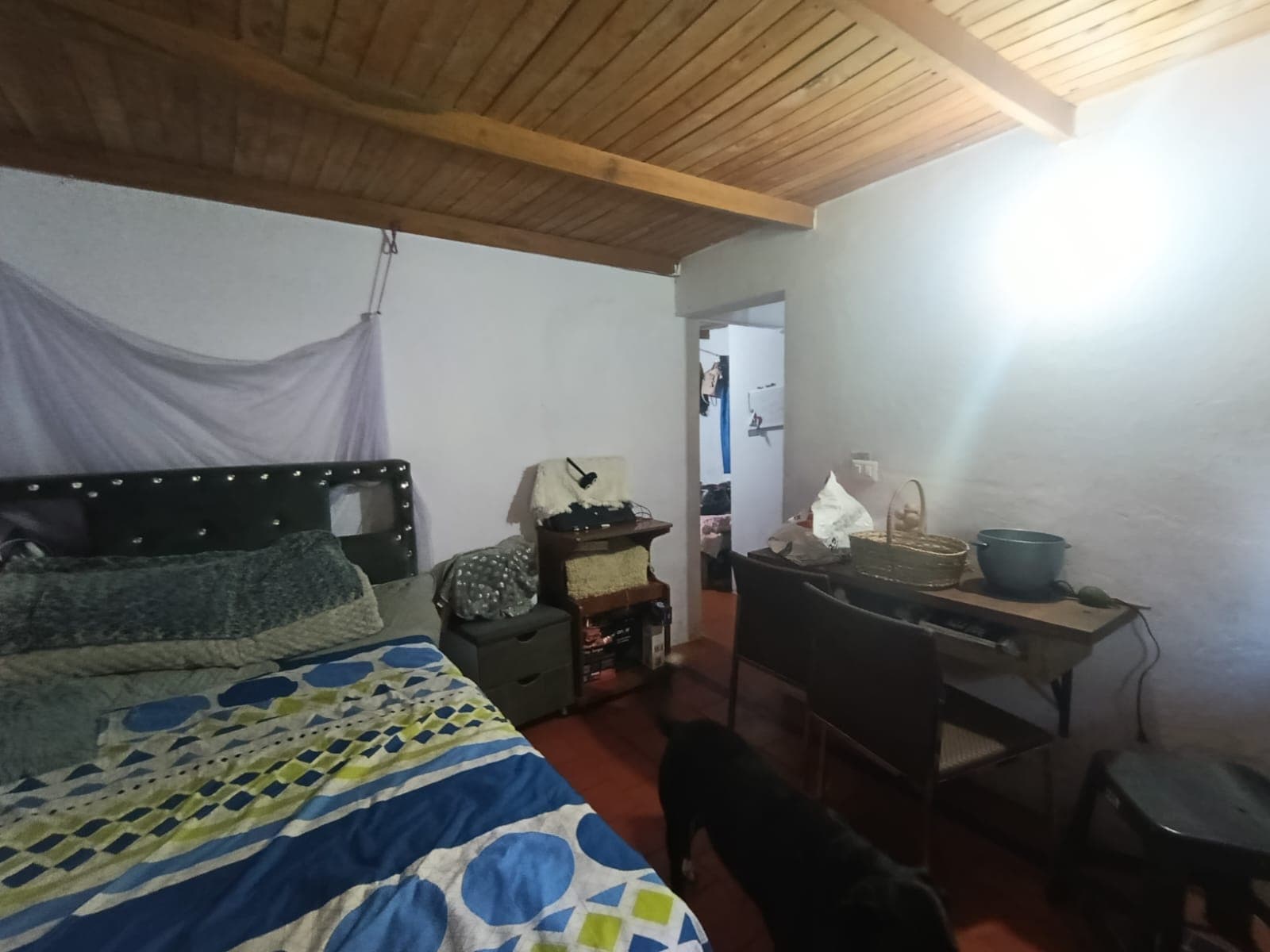 Bodega en arriendo en Rionegro — foto 5 de 20