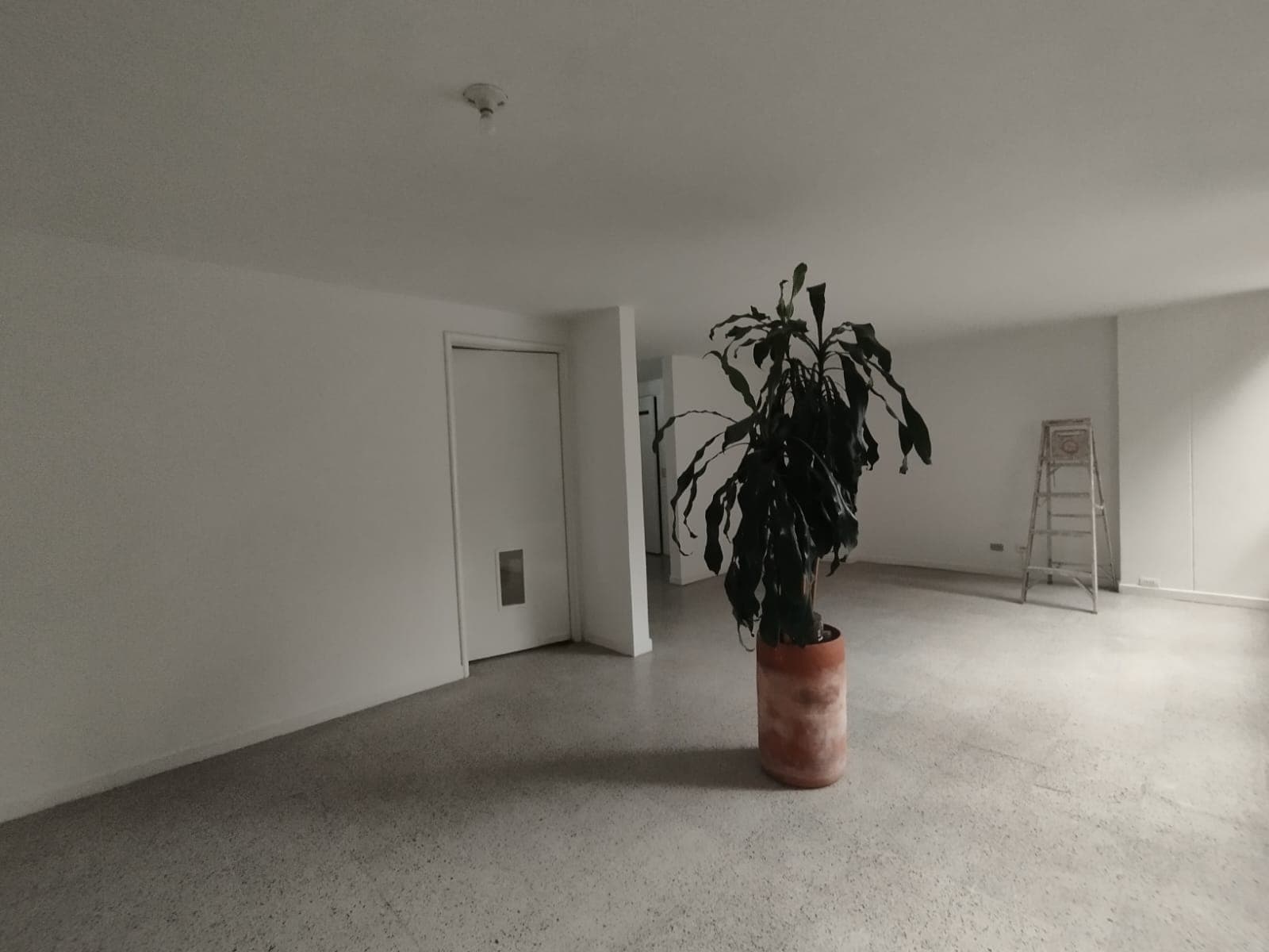 Apartamento en arriendo en Patio Bonito, El Poblado, Medellín — foto 1 de 20