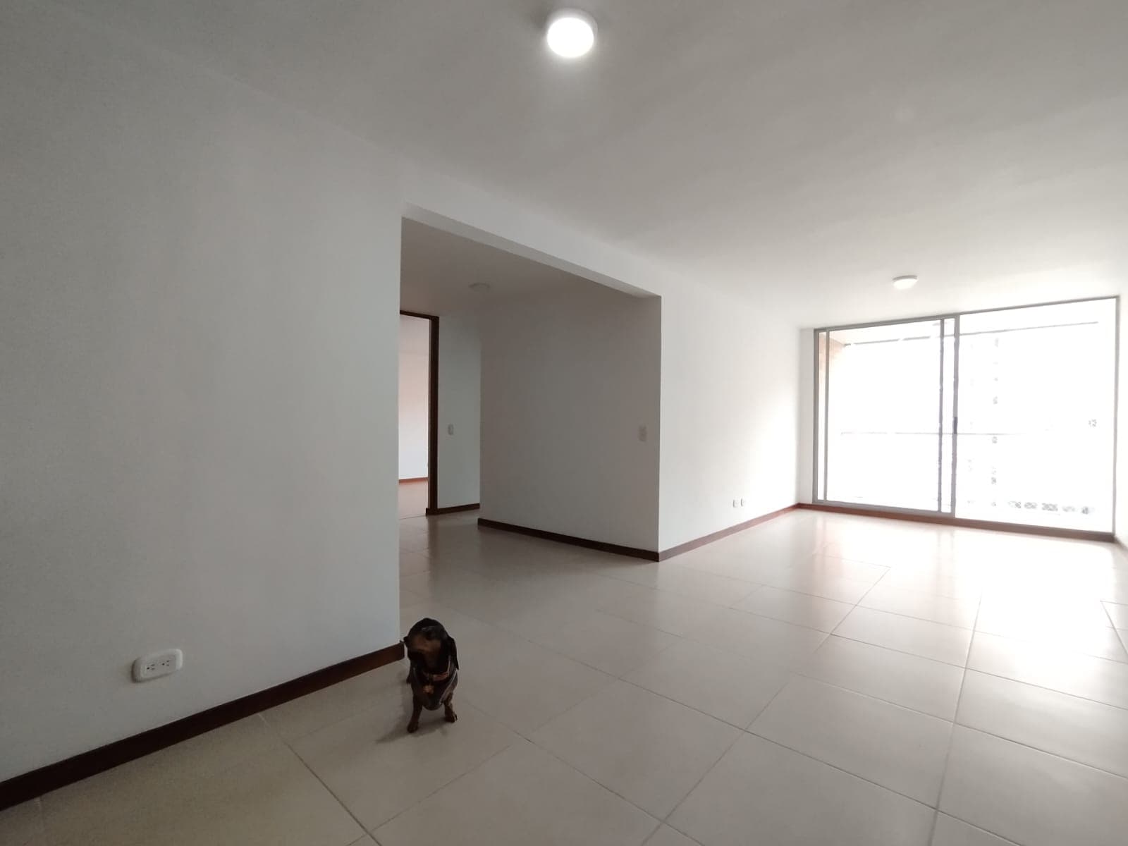 Apartamento en arriendo en Castropol, El Poblado, Medellín — foto 2 de 18