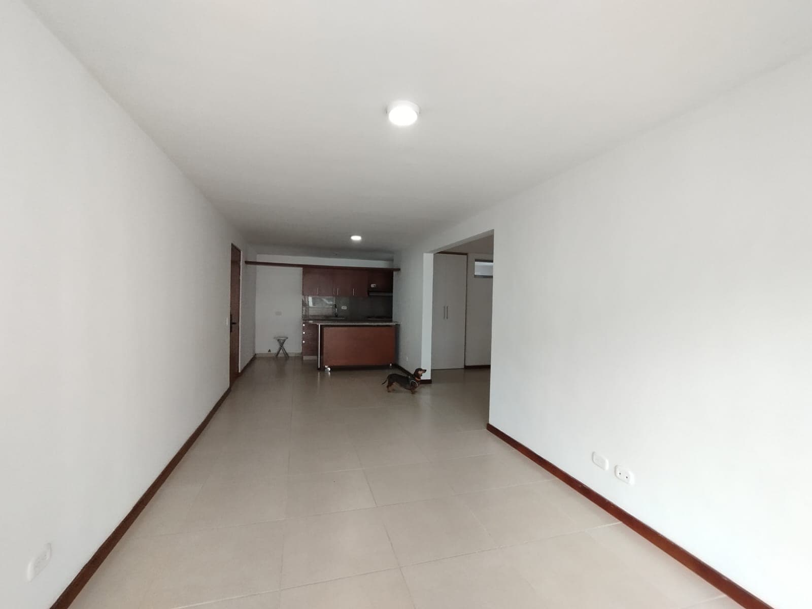 Apartamento en arriendo en Castropol, El Poblado, Medellín — foto 3 de 18