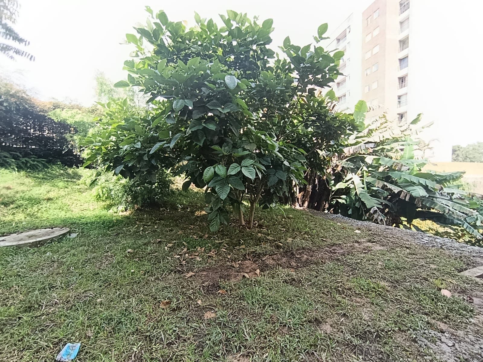 Local en arriendo en Rionegro — foto 2 de 11