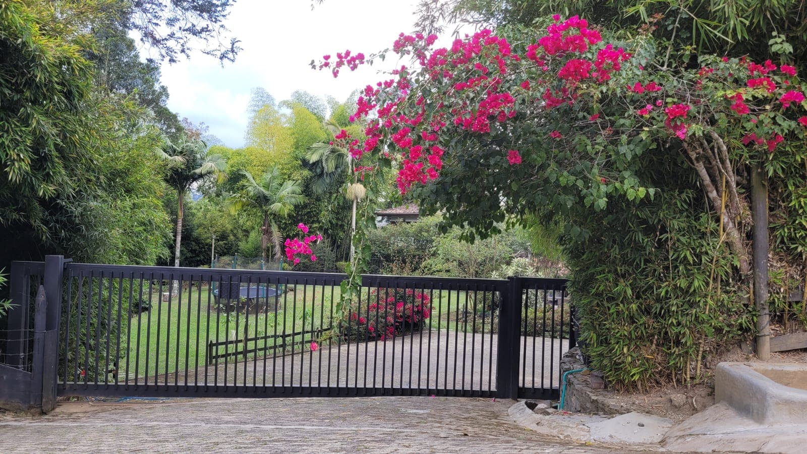 Finca en arriendo en Vereda Quirama, El Carmen De Viboral — foto 3 de 16