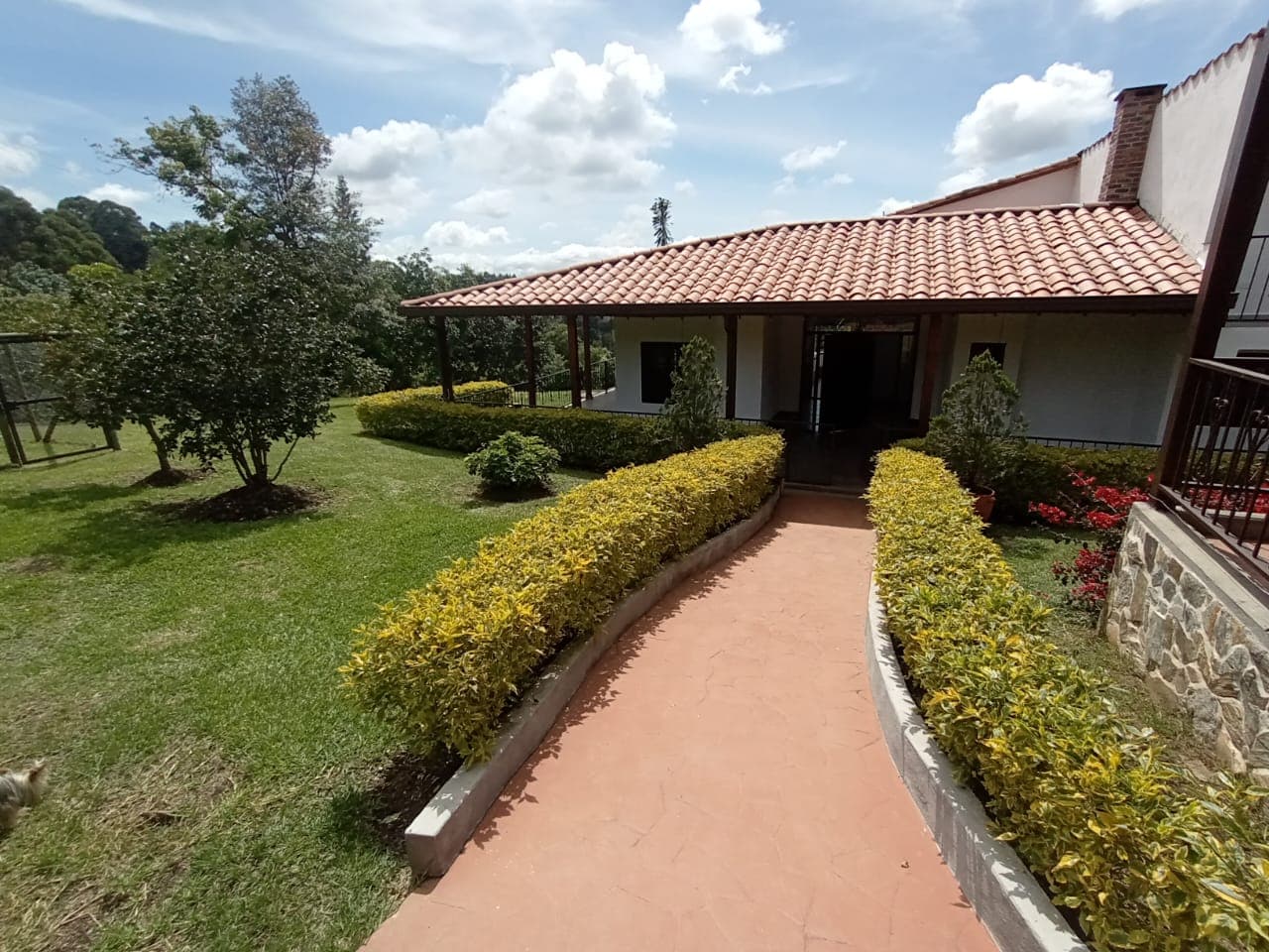 Finca en arriendo en Vereda San José, Guarne — foto 1 de 20