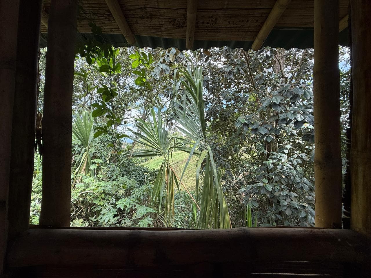 Local en arriendo en Vereda Tribunas, Vía Armenia, Pereira — foto 5 de 9