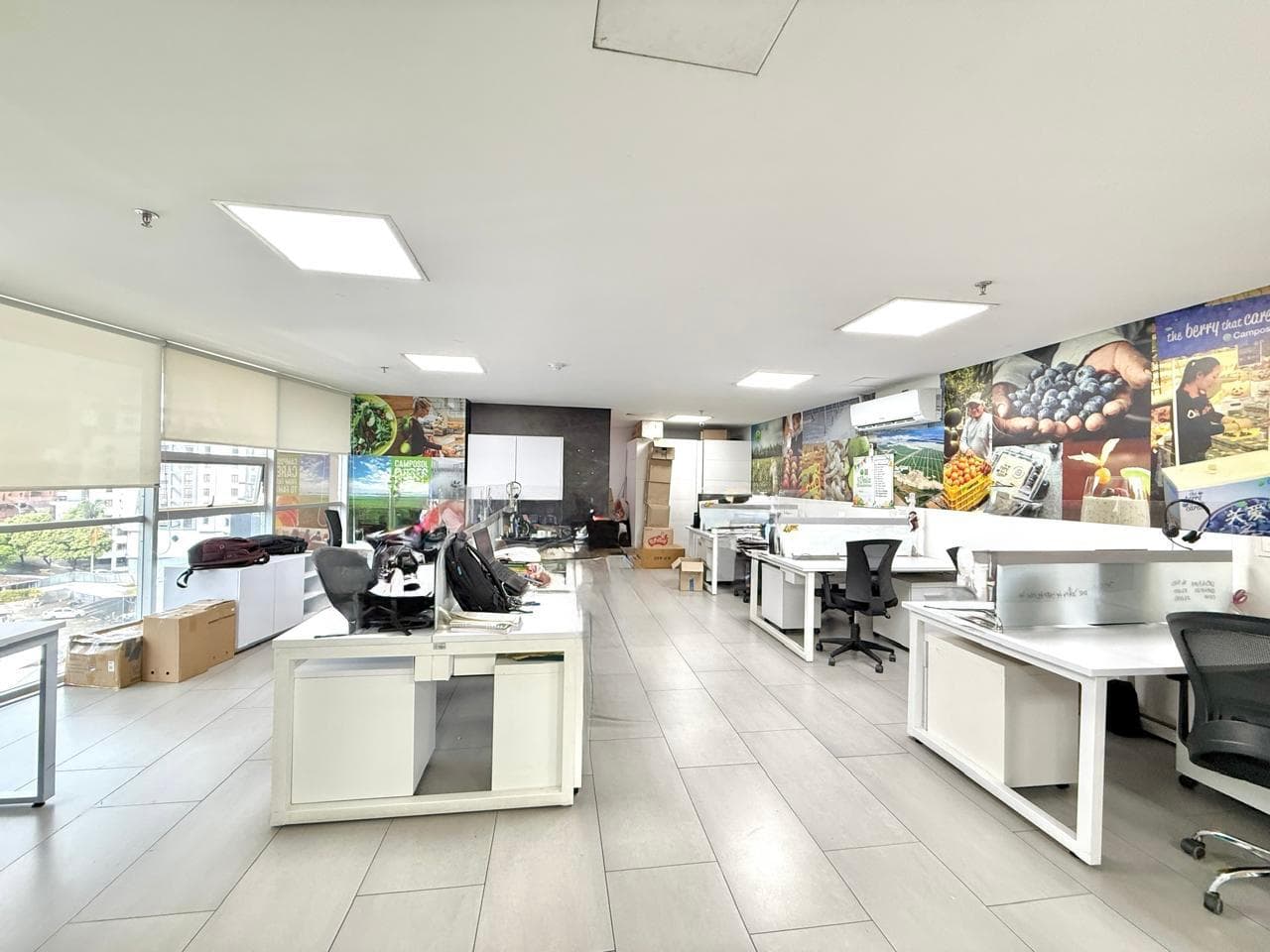 Oficina en arriendo en Alpes, Pereira — foto 2 de 14