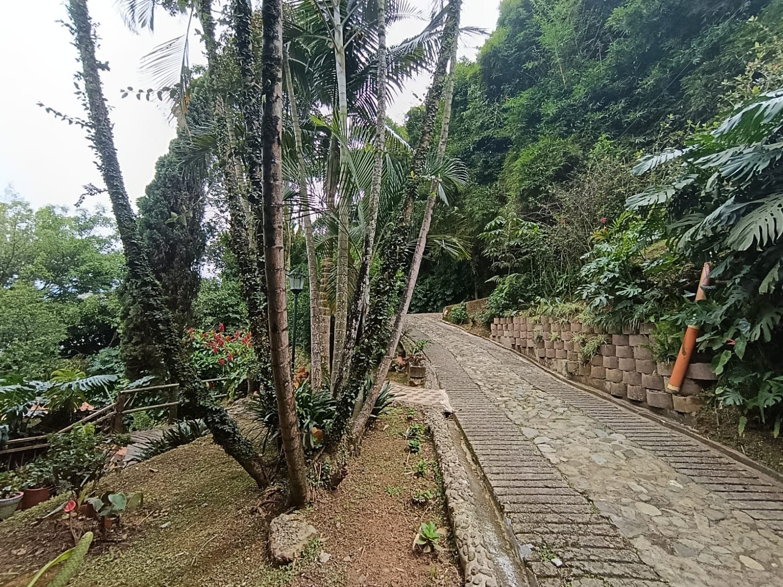 Casa Campestre en arriendo en La Doctora, Sabaneta — foto 4 de 20