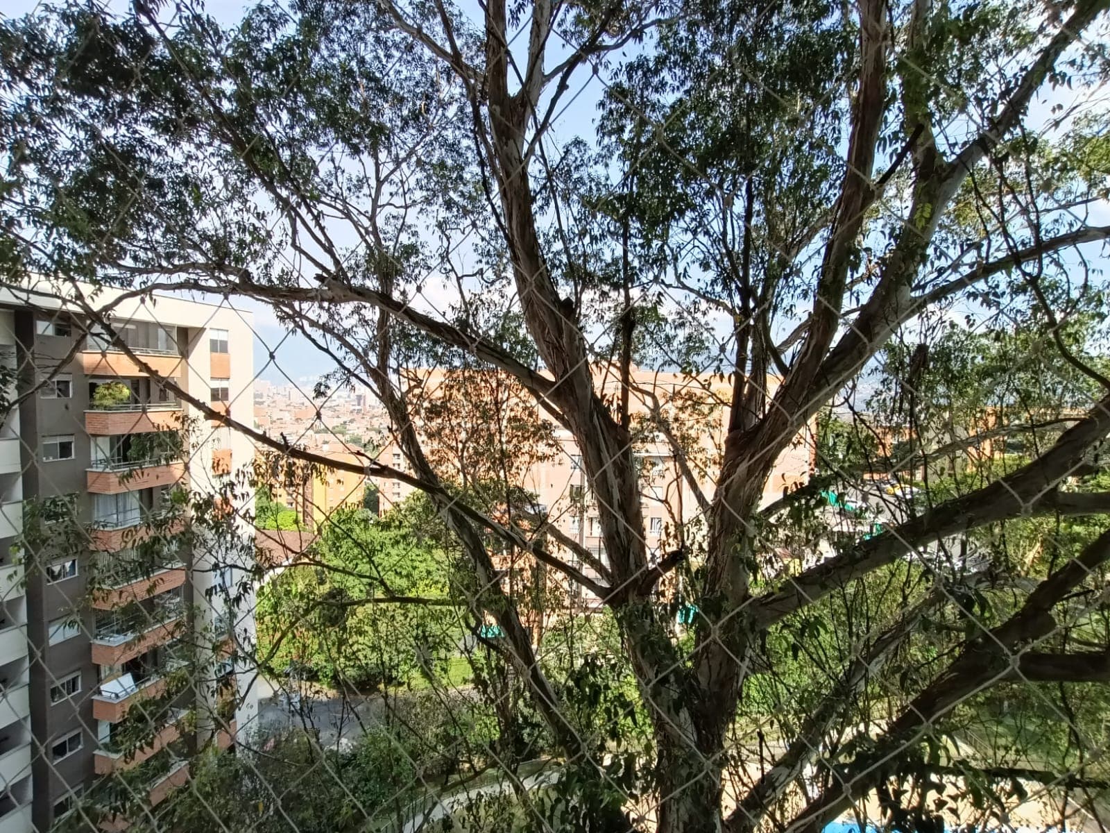 Apartamento en arriendo en Las Cometas, Envigado — foto 2 de 20