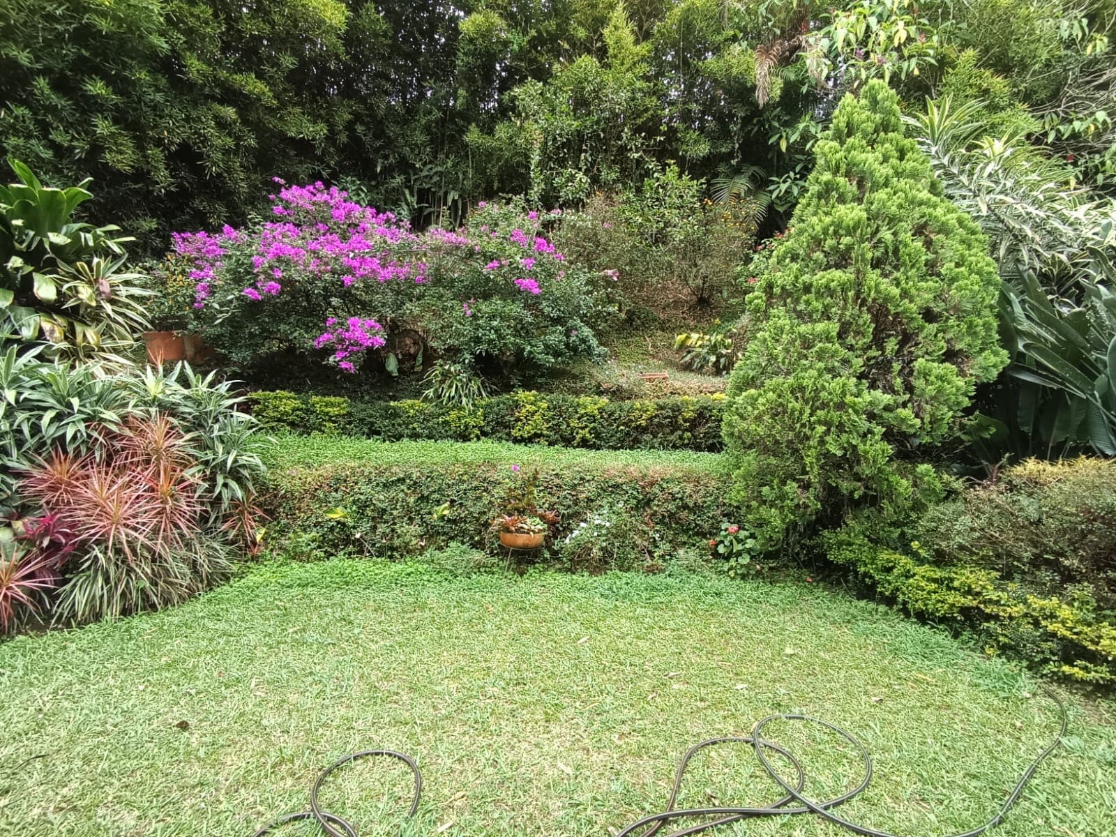 Casa Vivienda en arriendo en Los Balsos, El Poblado, Medellín — foto 2 de 20