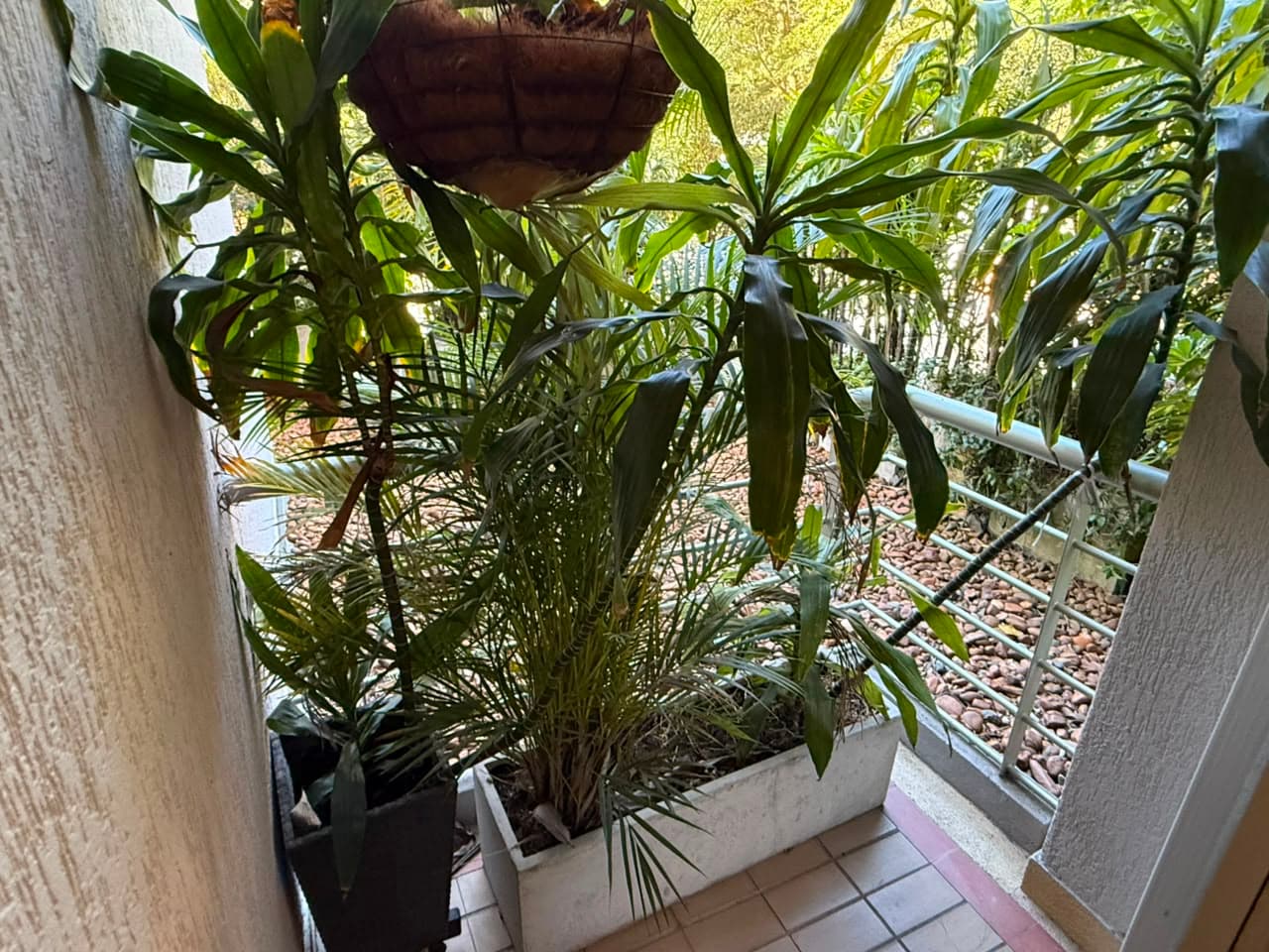 Apartamento en arriendo en Los Balsos, El Poblado, Medellín — foto 5 de 20