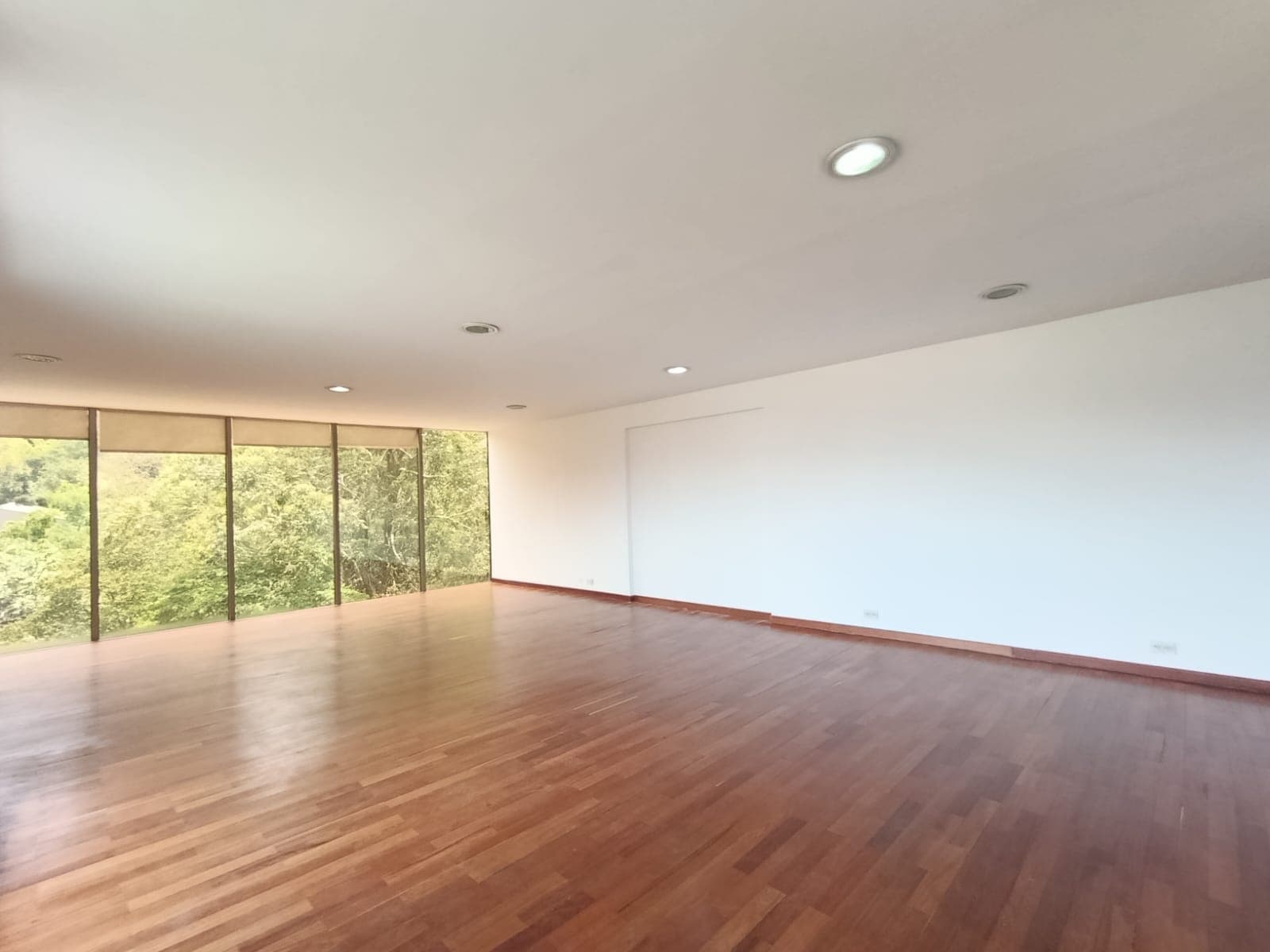 Oficina en arriendo en Las Lomas, El Poblado, Medellín — foto 4 de 14