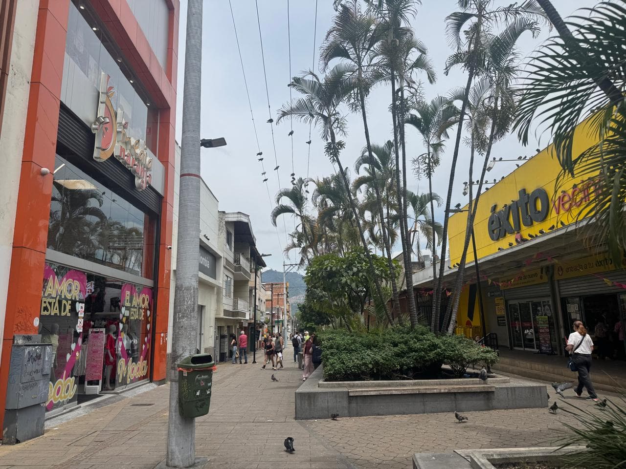 Local en arriendo en Parque de Envigado — foto 1 de 8