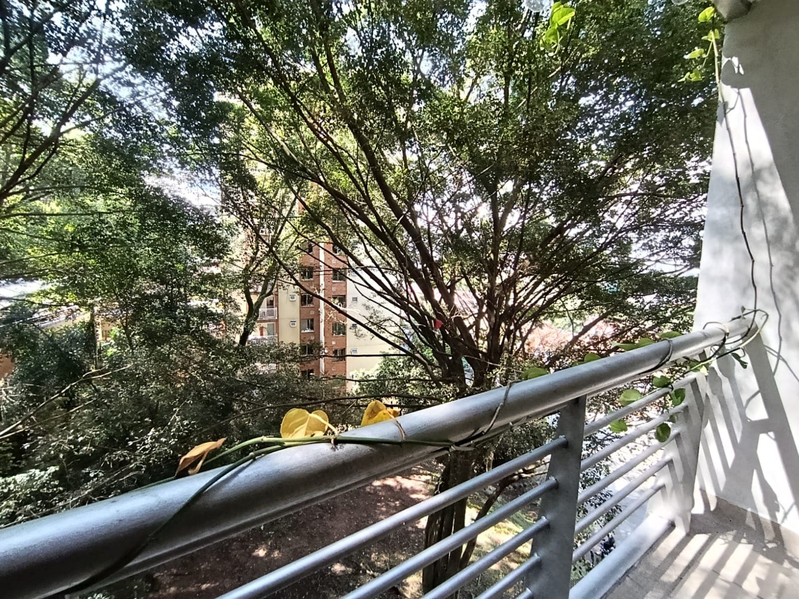 Apartamento en arriendo en Medellín — foto 4 de 15