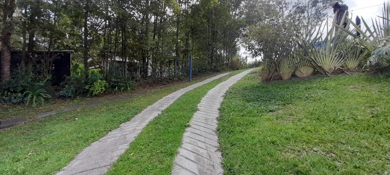 Finca en arriendo en De Vivoral, El Carmen De Viboral — foto 3 de 20