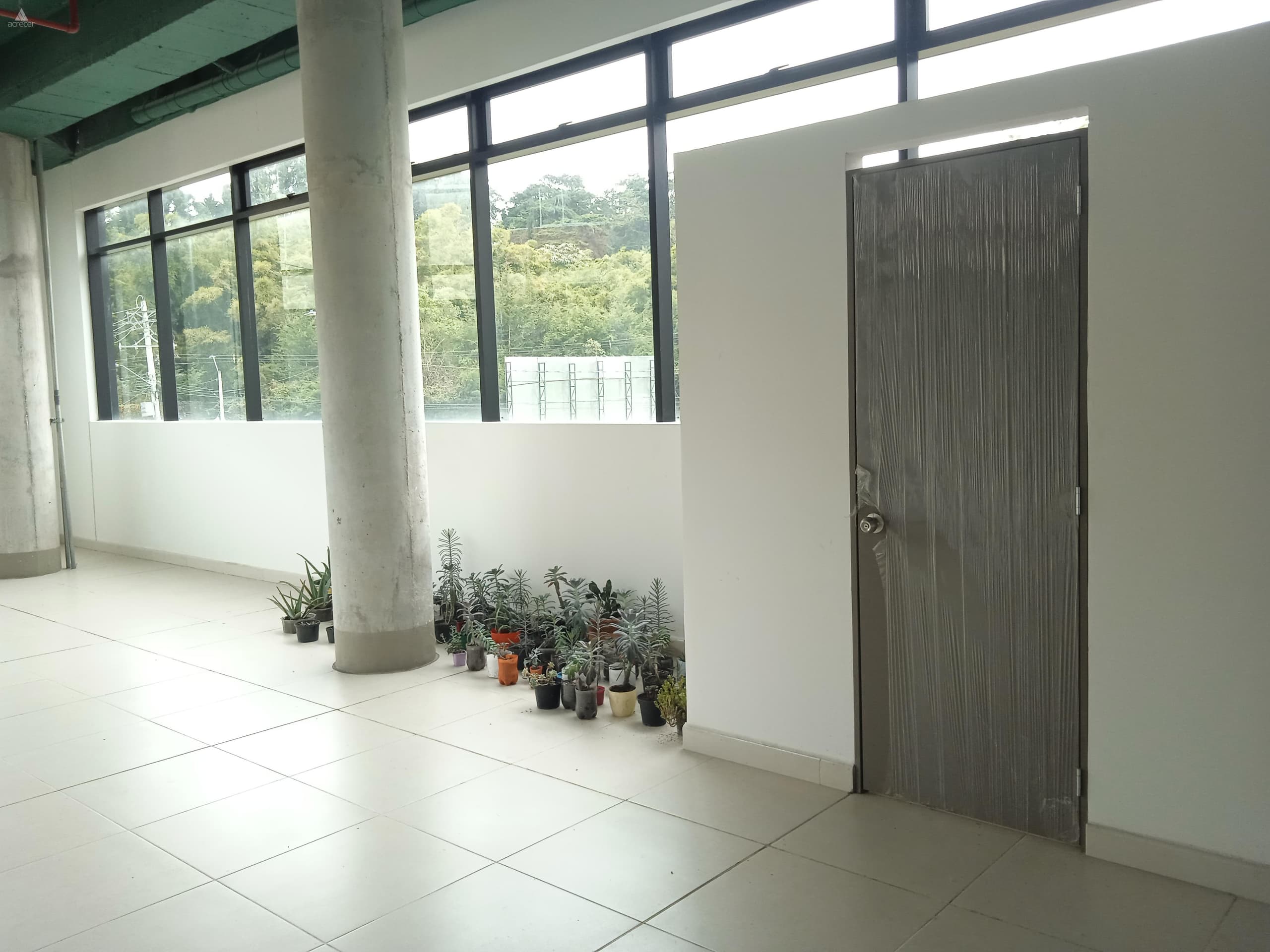 Local en arriendo en Rionegro — foto 3 de 6