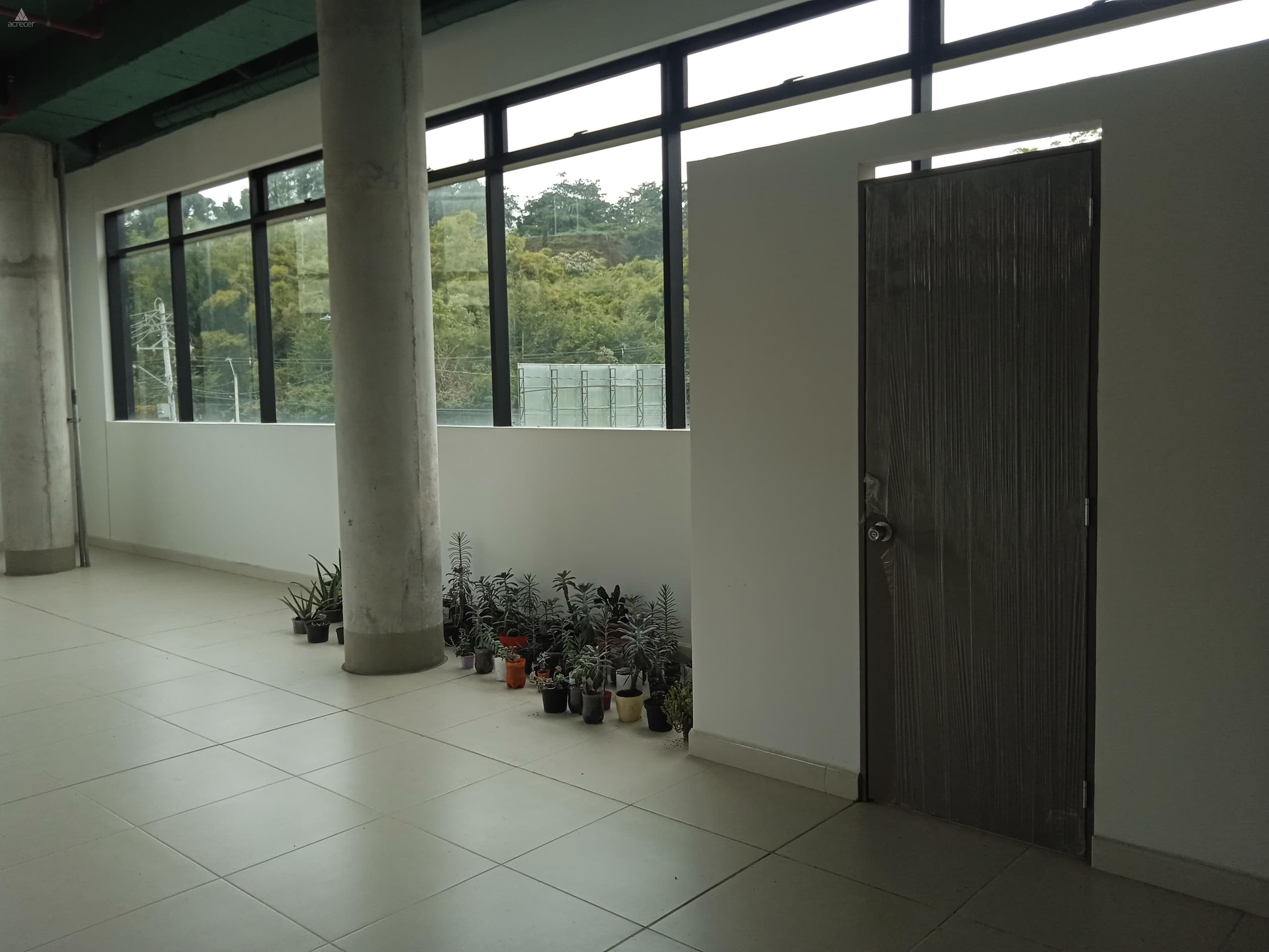 Local en arriendo en Rionegro — foto 4 de 6