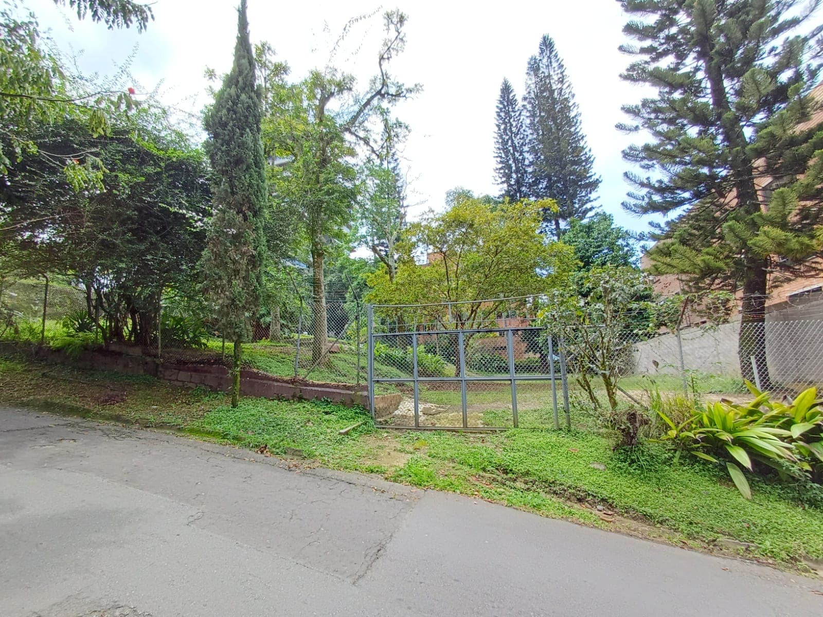 Casa Comercial en arriendo en Las Lomas, Poblado, Medellín — foto 5 de 20