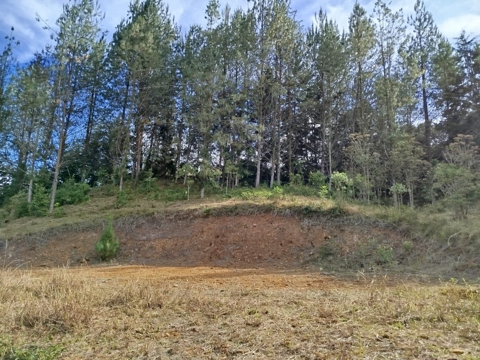 Casa Vivienda en arriendo en Guarne — foto 1 de 20