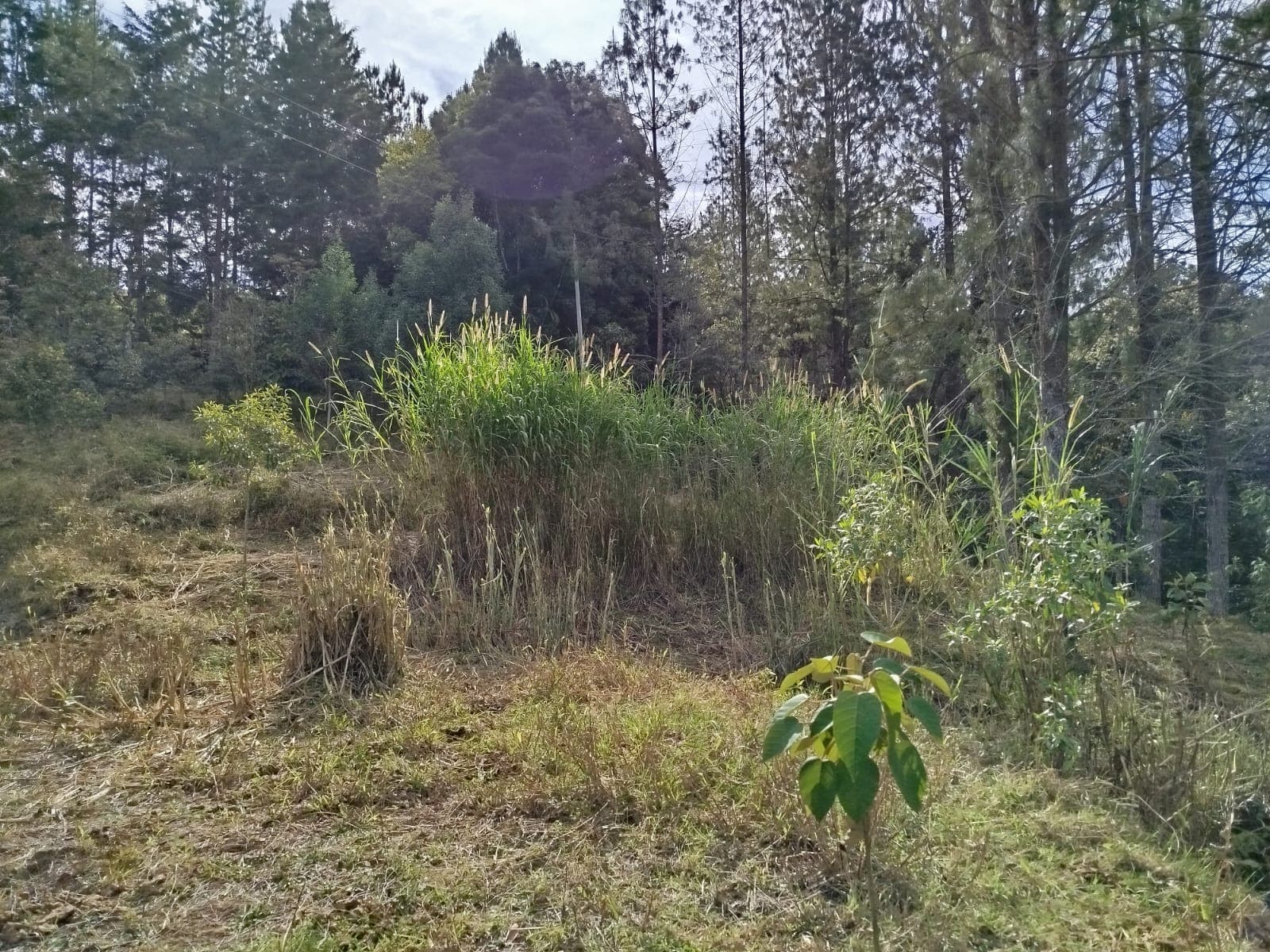 Casa Vivienda en arriendo en Guarne — foto 4 de 20
