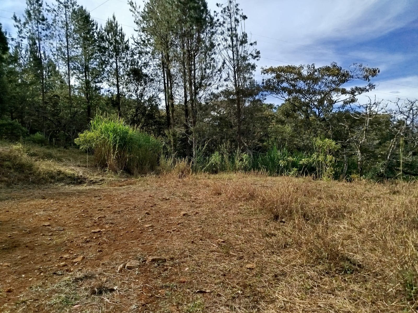 Casa Vivienda en arriendo en Guarne — foto 5 de 20