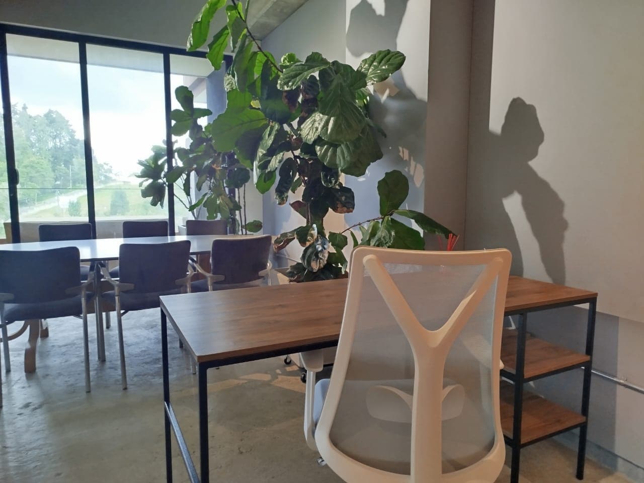 Oficina en arriendo en Las Palmas, Envigado — foto 1 de 20