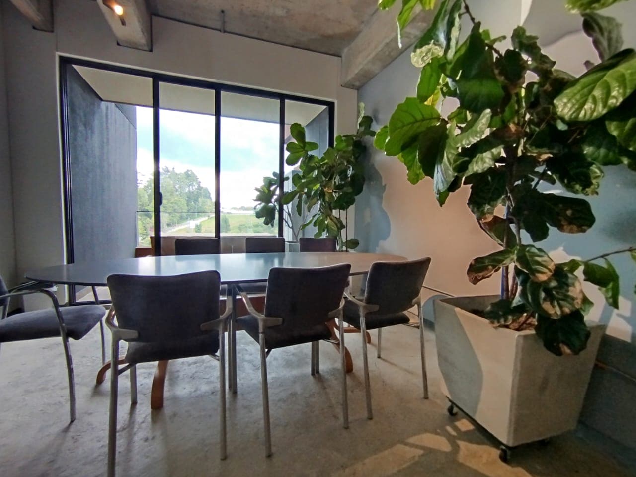Oficina en arriendo en Las Palmas, Envigado — foto 2 de 20