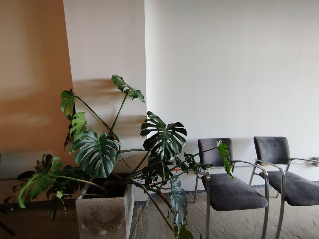 Oficina en arriendo en Las Palmas, Envigado — foto 5 de 20