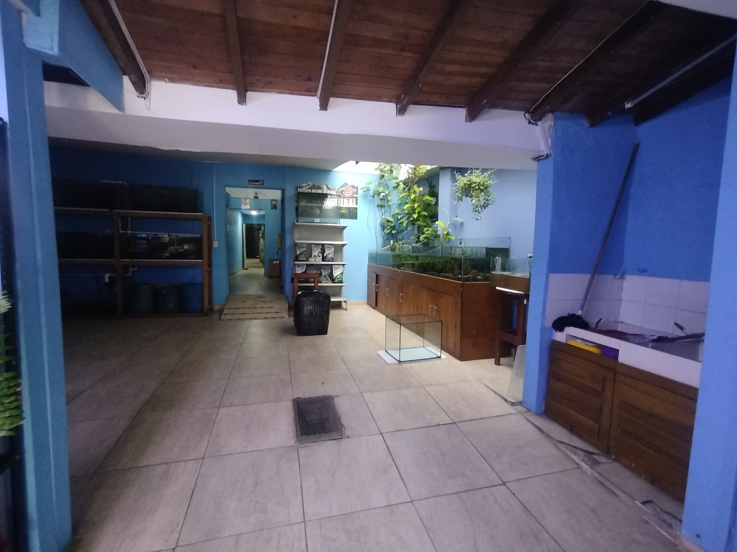 Local en arriendo en Manila, Poblado, Medellín — foto 4 de 20